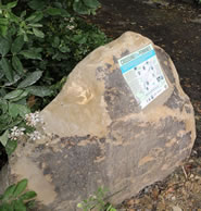 Waymarker Rock Information Panel